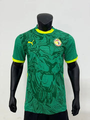 Maillot Maillot Sénégal Extérieur Vert CAN 2025-26 miniature