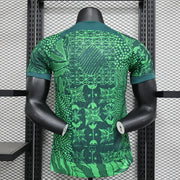 Maillot Maillot Nigéria saison 2023-2024 domicile version player miniature