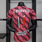 Maillot Maillot Palestine concept 2025-26 miniature