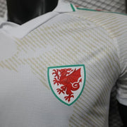 Maillot Maillot Pays de Galles extérieur Coupe du monde 2026 miniature