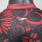 Maillot Maillot Palestine concept 2025-26 miniature